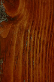 Knotty Pine doors with "Penn House" finish